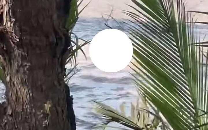 Cù Lao Dung – Cần Thơ (Sóc Trăng cũ):